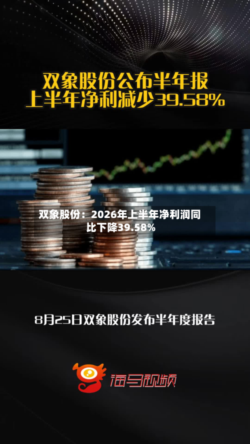 双象股份：2026年上半年净利润同比下降39.58%-第2张图片