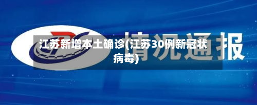 江苏新增本土确诊(江苏30例新冠状病毒)-第2张图片