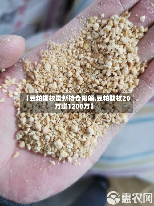 【豆粕期权最新持仓限额,豆粕期权20万赚1200万】-第1张图片
