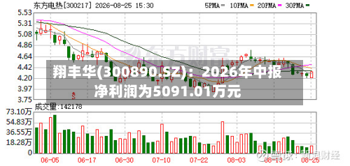 翔丰华(300890.SZ)：2026年中报净利润为5091.01万元