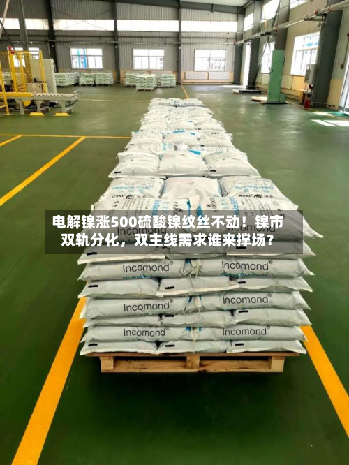 电解镍涨500硫酸镍纹丝不动!镍市双轨分化,双主线需求谁来撑场?-第1张图片