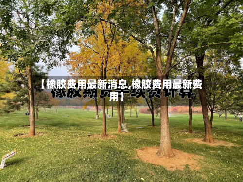 【橡胶费用最新消息,橡胶费用最新费用】