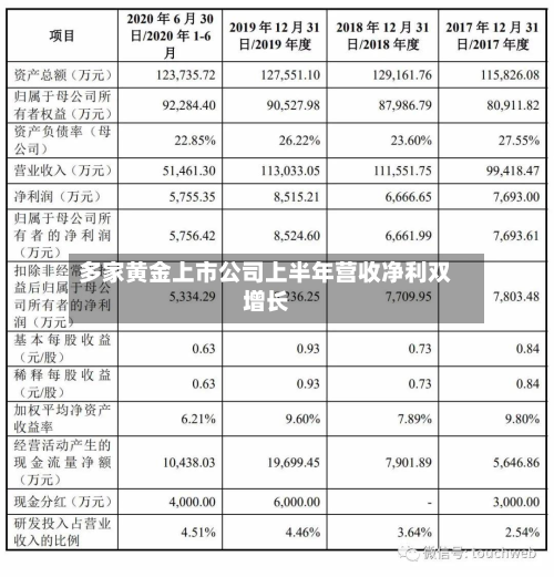 多家黄金上市公司上半年营收净利双增长-第2张图片