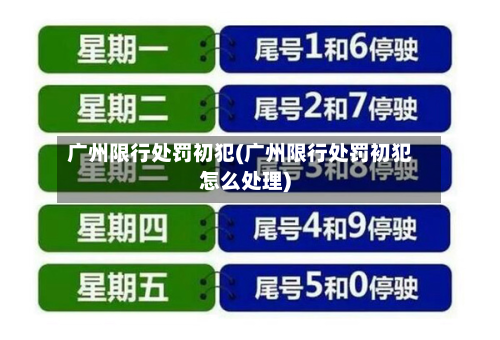 广州限行处罚初犯(广州限行处罚初犯怎么处理)-第3张图片