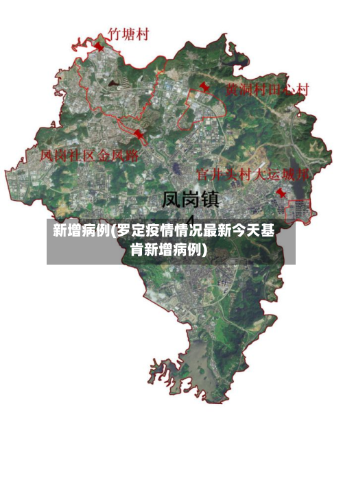 新增病例(罗定疫情情况最新今天基肯新增病例)-第2张图片