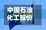 中国石油化工股份连续2日回购，累计回购462.60万股