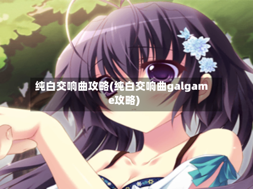 纯白交响曲攻略(纯白交响曲galgame攻略)-第1张图片