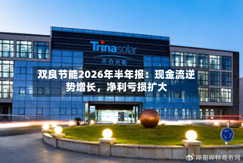 双良节能2026年半年报:现金流逆势增长,净利亏损扩大-第3张图片