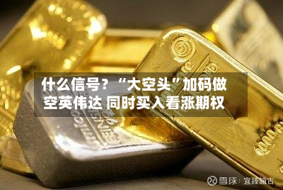 什么信号?“大空头”加码做空英伟达 同时买入看涨期权-第2张图片