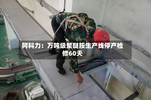 阿科力:万吨级聚醚胺生产线停产检修60天-第2张图片