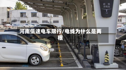 河南低速电车限行/电线为什么是两根-第3张图片