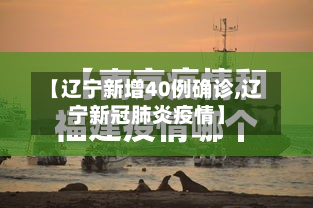 【辽宁新增40例确诊,辽宁新冠肺炎疫情】