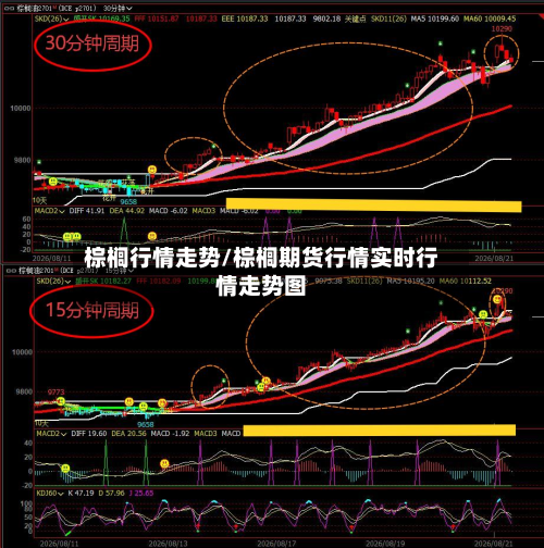棕榈行情走势/棕榈期货行情实时行情走势图