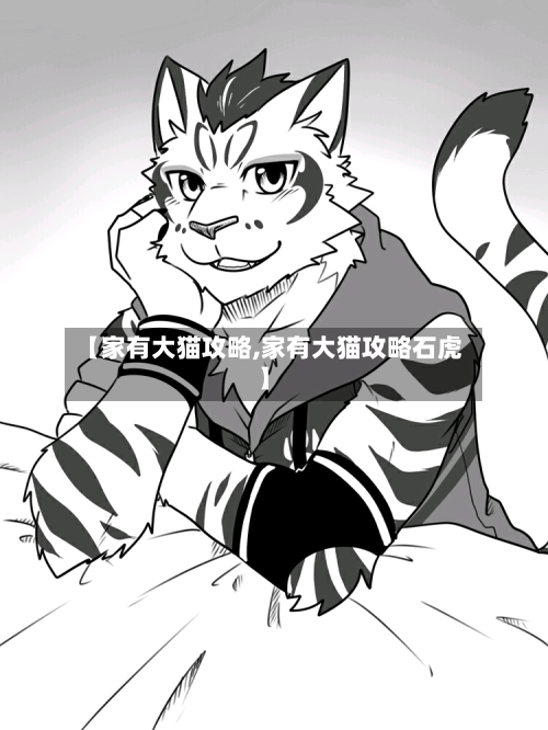 【家有大猫攻略,家有大猫攻略石虎】-第2张图片
