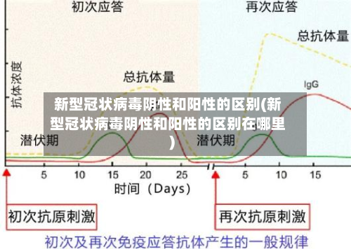 新型冠状病毒阴性和阳性的区别(新型冠状病毒阴性和阳性的区别在哪里)-第1张图片