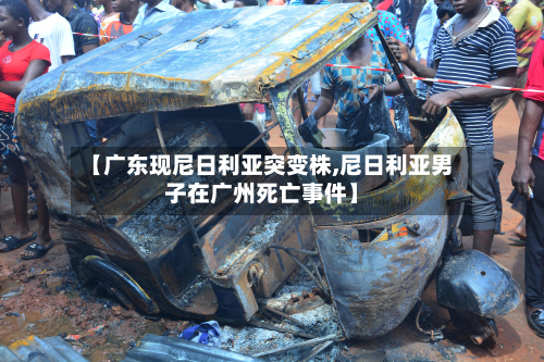 【广东现尼日利亚突变株,尼日利亚男子在广州死亡事件】
