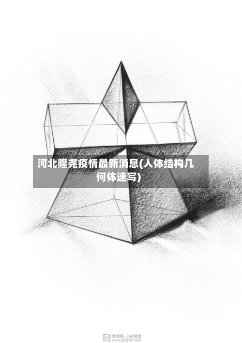 河北隆尧疫情最新消息(人体结构几何体速写)-第2张图片