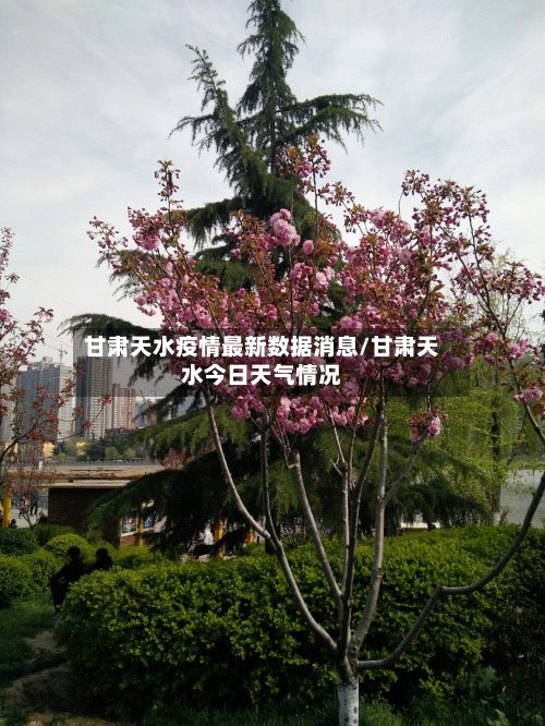 甘肃天水疫情最新数据消息/甘肃天水今日天气情况-第3张图片
