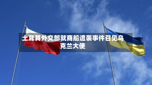 土耳其外交部就商船遭袭事件召见乌克兰大使-第2张图片