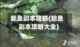鲶鱼副本攻略(鲶鱼副本攻略大全)-第3张图片