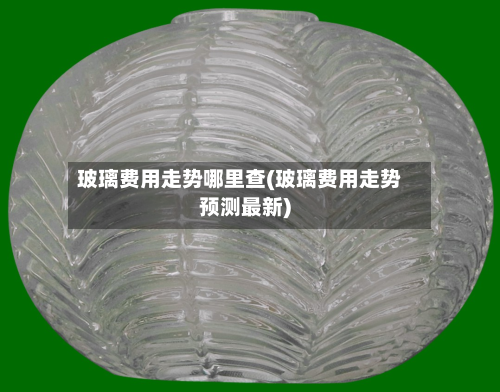 玻璃费用走势哪里查(玻璃费用走势预测最新)