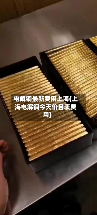 电解铜最新费用上海(上海电解铜今天价目表费用)-第2张图片