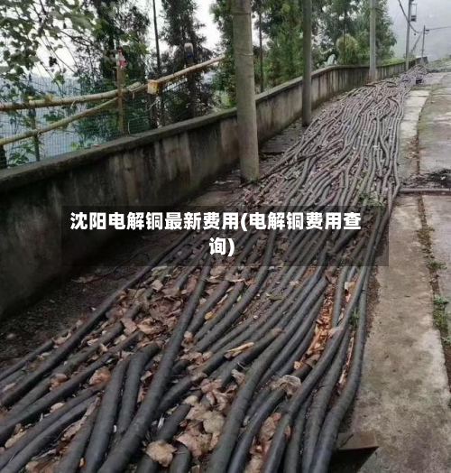 沈阳电解铜最新费用(电解铜费用查询)