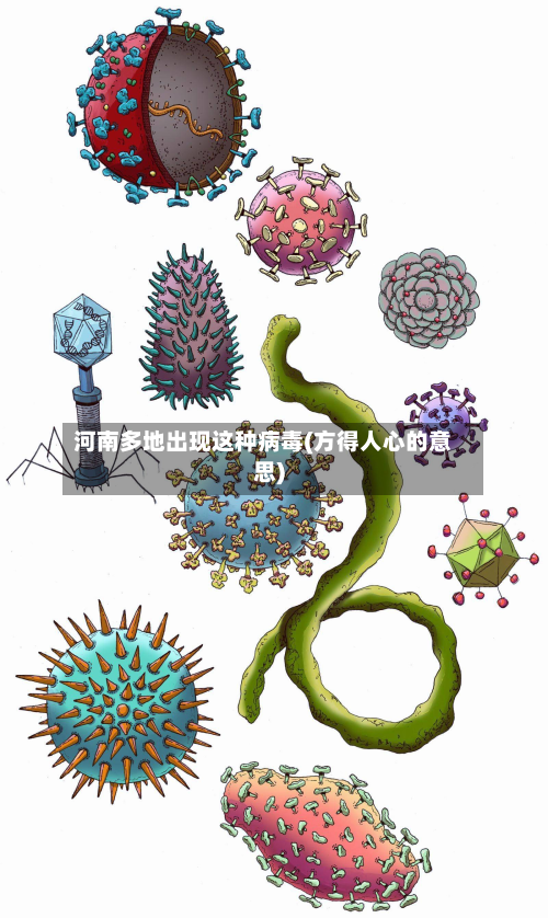河南多地出现这种病毒(方得人心的意思)-第2张图片