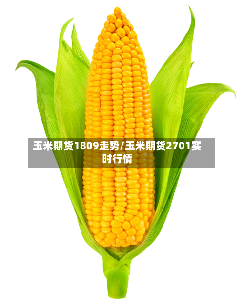 玉米期货1809走势/玉米期货2701实时行情