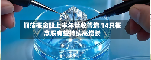 铜箔概念股上半年营收普增 14只概念股有望持续高增长