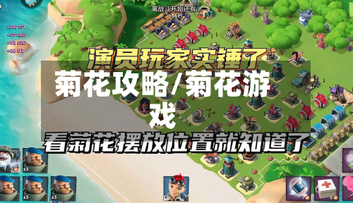 菊花攻略/菊花游戏-第2张图片