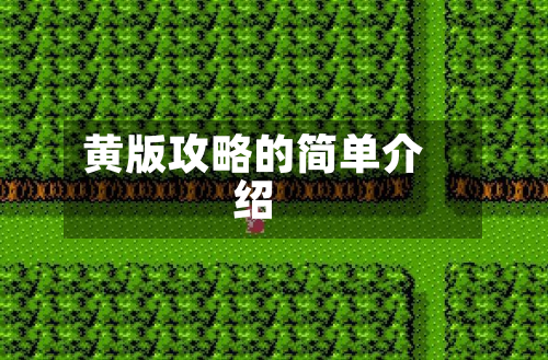 黄版攻略的简单介绍-第2张图片