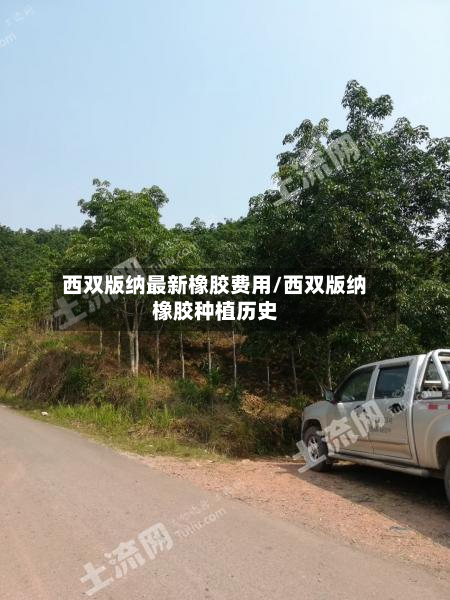 西双版纳最新橡胶费用/西双版纳橡胶种植历史-第3张图片