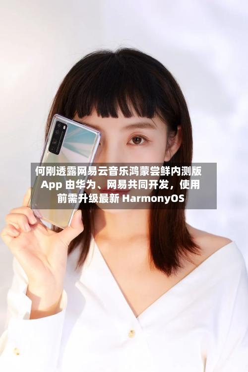 何刚透露网易云音乐鸿蒙尝鲜内测版 App 由华为、网易共同开发，使用前需升级最新 HarmonyOS